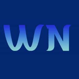 Wave Notify logo