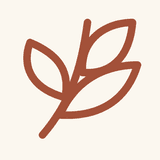 Rulemint SEO logo