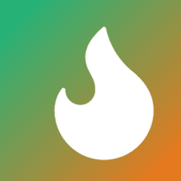 SEO FIRE TOOLS SUITE logo