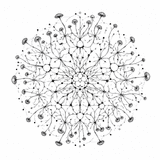 Yourmunity: Customer Community logo