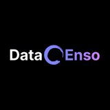 Data Enso: Data Quality Check logo