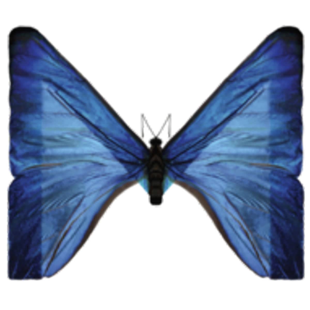 Unleash your products in stunning interactive 3D. Transform your store instantly. No skills required logo