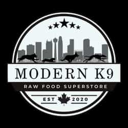 Modern K9 logo