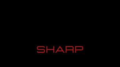 BidoSharp logo
