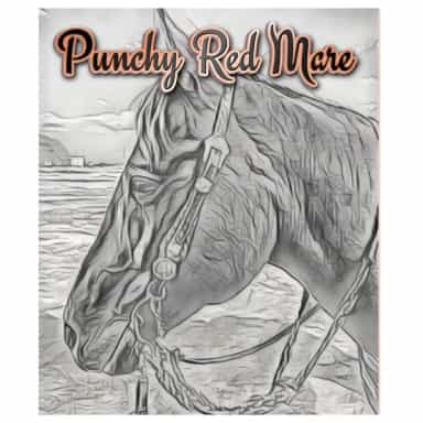 Punchy Red Mare logo