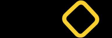 Big Lot logo