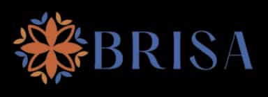 Brisa Singapore logo