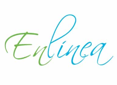 En Linea Chile logo