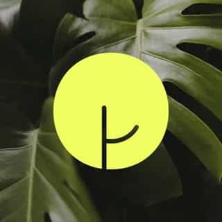 The Purest Co (SG) logo