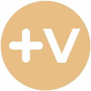 Viktilabs logo