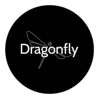 Dragonfly logo