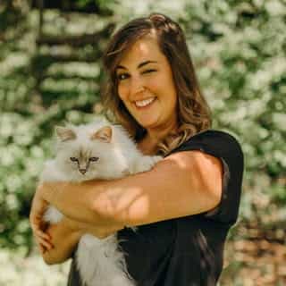 I Love Happy Cats logo