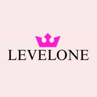 Levelone GmbH & Co. KG logo