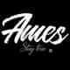 Ames Staytrue logo