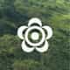Makaibari Tea logo