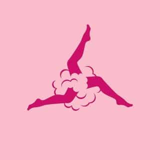 SHUR SHUR Stockings logo