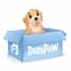 DuraPaw logo