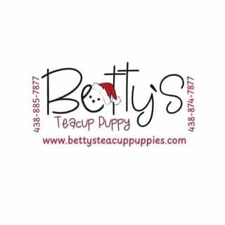 Betty's Teacup Puppies Inc logo