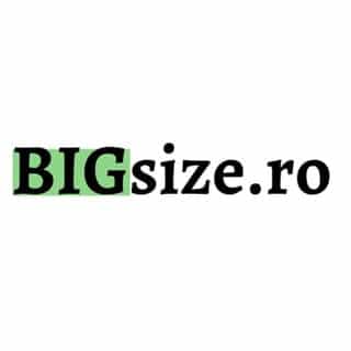 BIGsize logo