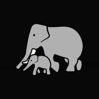 DERYAN logo