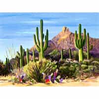 Gift Shop - Tucson - Madaras Gallery logo