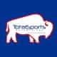 TSE Buffalo logo