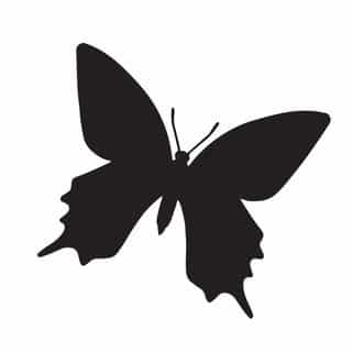 St Frock logo