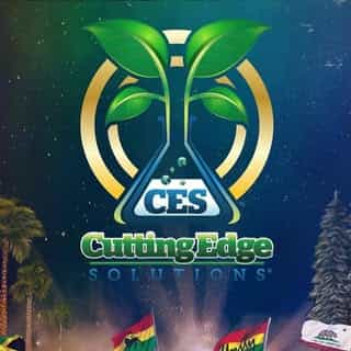 Cutting Edge Solutions logo