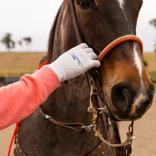 Coolhorse logo