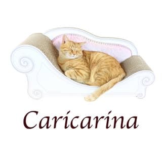caricarina logo