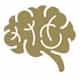 Braintimize logo