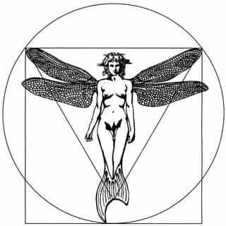 Secret Nature logo