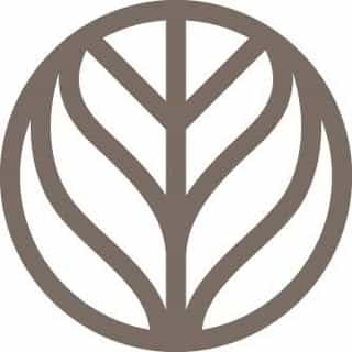 Branch Basics logo