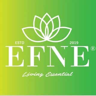 EFNE logo