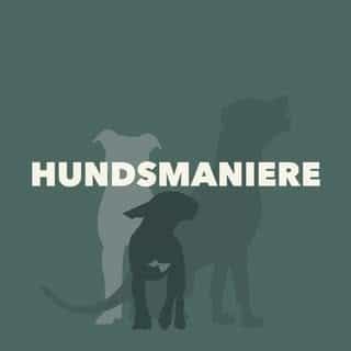 Hundsmaniere logo