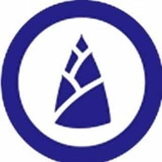 BAMBOO SHOOTS ONLINE logo