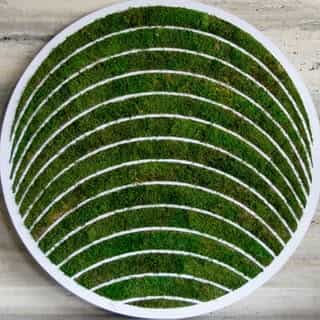 Materia Verde logo