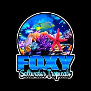 Foxy Saltwater Tropicals logo