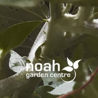 Noah Garden Centre logo