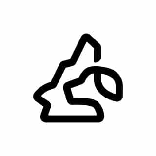 Paleo Pet logo