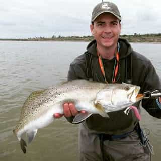 Knockin Tail Lures Built-In Tail Rattle logo