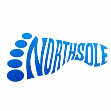NorthSole logo