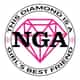NGA - No Girls Allowed logo