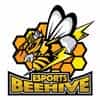 皇巢卡店 Beehive Trading Card Shop logo