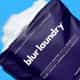 Blur Laundry logo