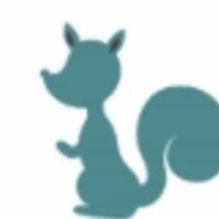 Nearly Collectibles logo