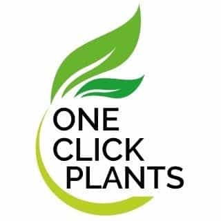 One Click Plants logo