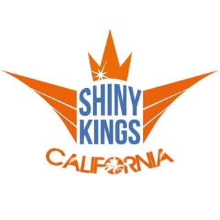 shinykingsinc logo