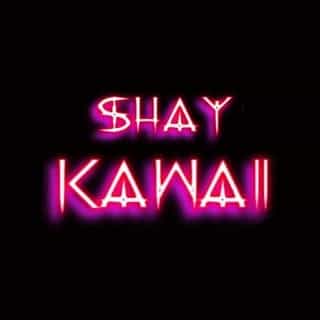 shaykawaii logo