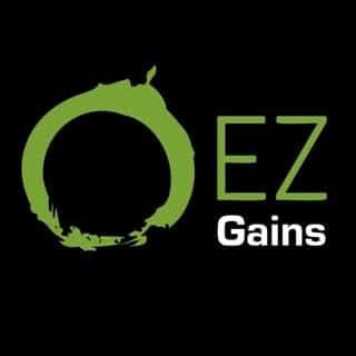 EZ Gains Ltd logo